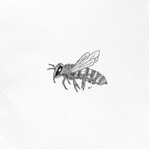 Honey Bee Print-Beauy Art